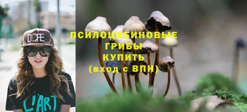 Галлюциногенные грибы MAGIC MUSHROOMS  Гусев 